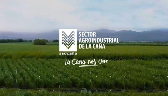 La Caña Nos Une